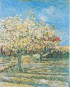 Vincent Van Gogh Flowering orchard oil on canvas